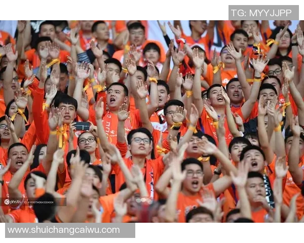 中超第10轮精彩对决天津权健主场迎战山东鲁能