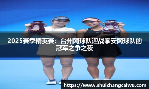 2025赛季精英赛：台州网球队迎战泰安网球队的冠军之争之夜