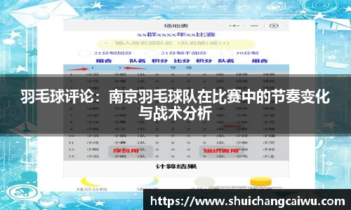 羽毛球评论：南京羽毛球队在比赛中的节奏变化与战术分析