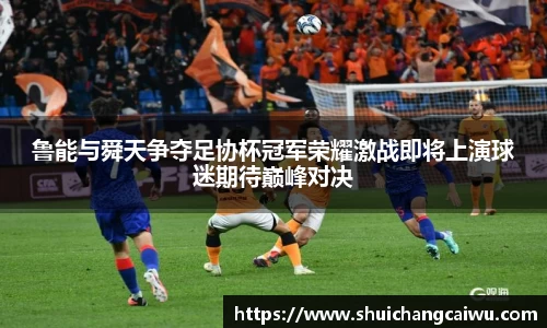 鲁能与舜天争夺足协杯冠军荣耀激战即将上演球迷期待巅峰对决